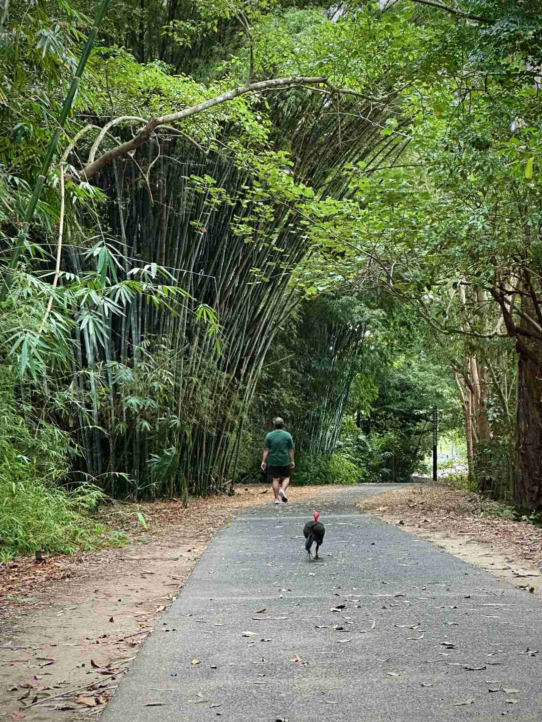 Descubra a Cidade do Verão Eterno no Hemisfério Sul: Seu Paraíso o Ano Inteiro