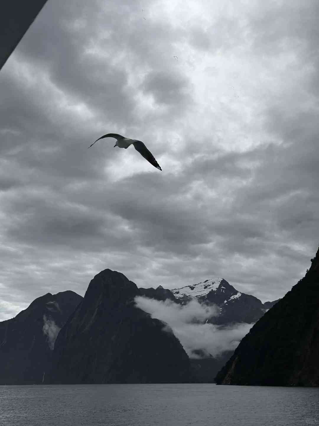 Discover the Hidden Fragrances of Milford Sound: A Scented Journey Unveiled