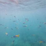 Discover the Hidden Gem: Pulau Perhentian, Malaysia’s Best Kept Secret Island Escape!