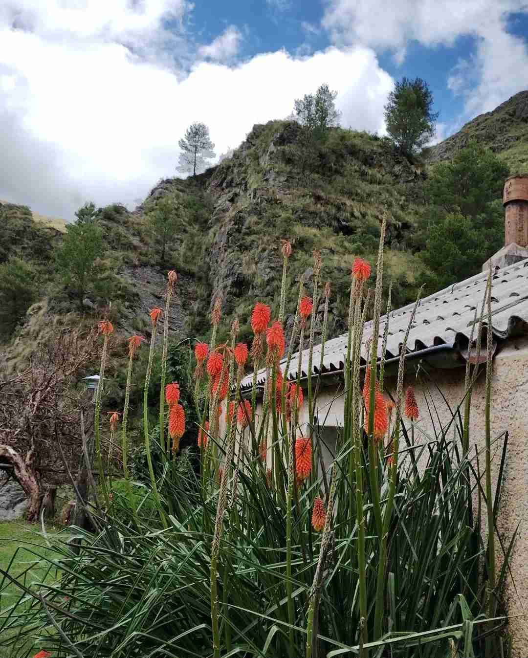 Discover the Hidden Gems: Argentine Historic Town and Hiking Paradise