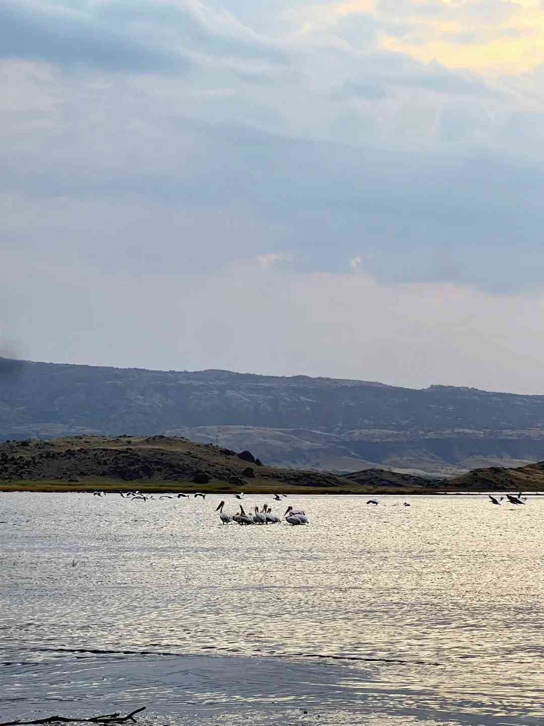 Discover the Hidden Gems: Why You Deserve an Unforgettable Trip to Tanzania