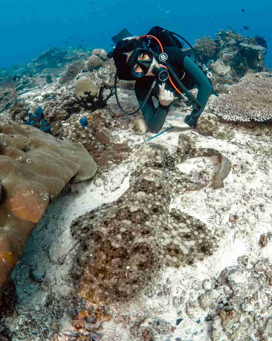 Discover the Hidden Gems of Raja Ampat, Indonesia: A Paradise for Divers and Nature Lovers
