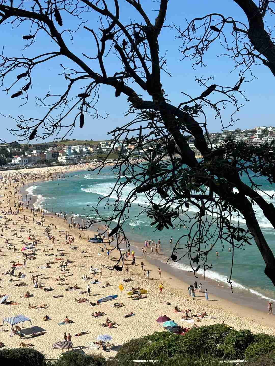Discover the Joy: Sydney's Road Signs That Feel Like Happy Spells