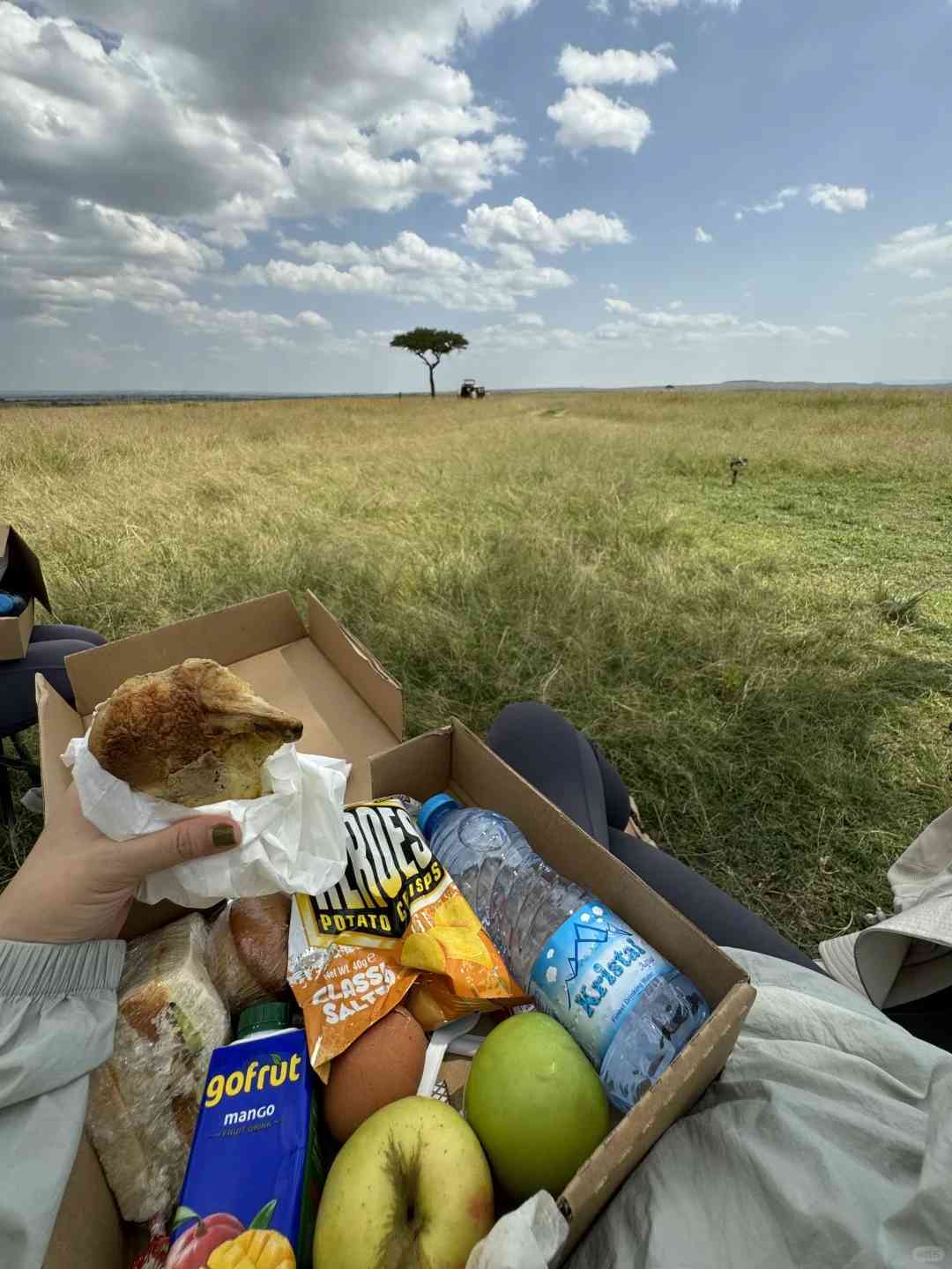 Discover the Latest Trends in Kenya Tourism: A Comprehensive 2023 Update