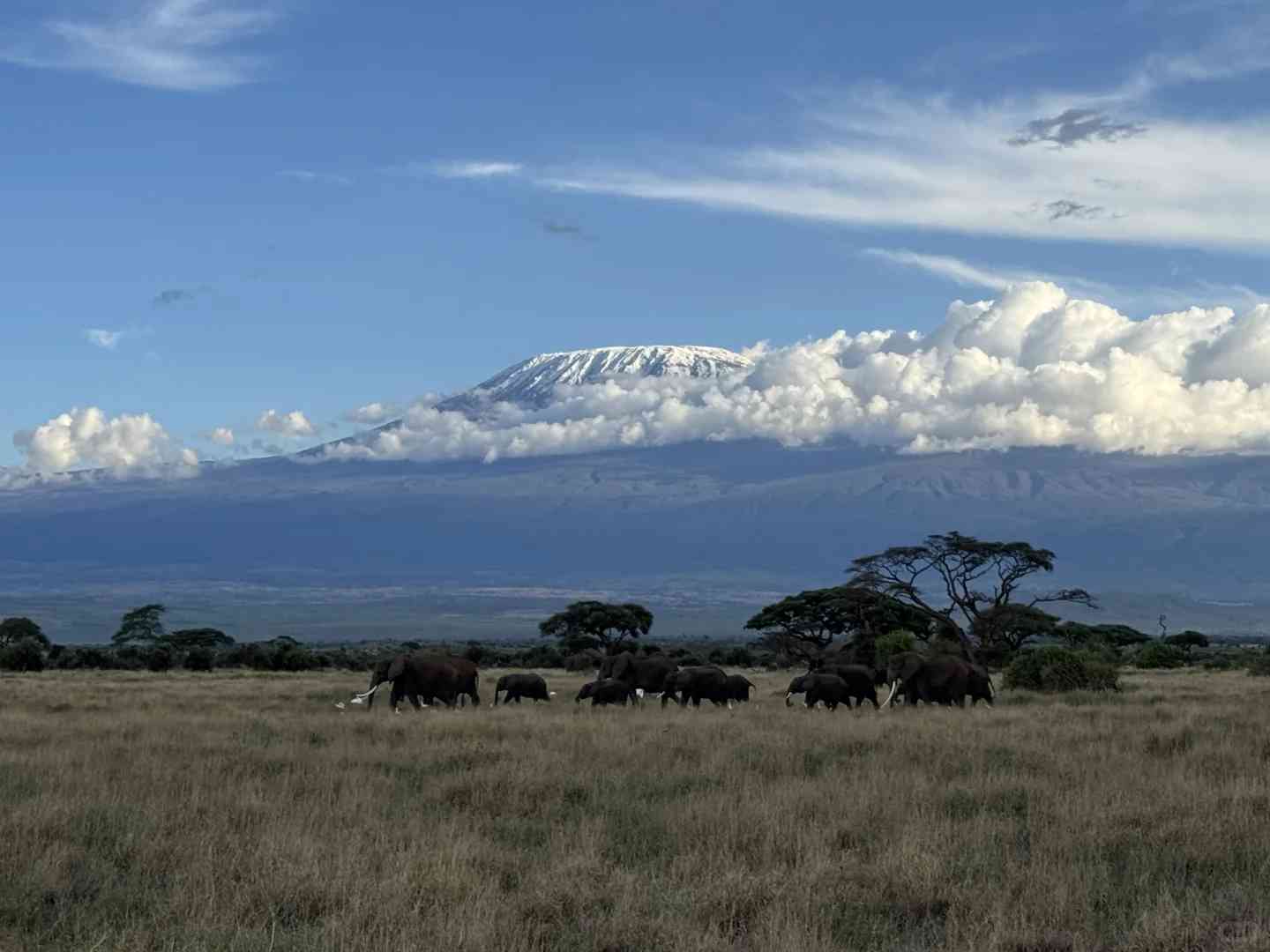 Discover the Magic: A Fantastic Safari Day in Amboseli National Park