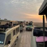 Discover the Magic of Wildlife in Amboseli National Park, Kenya 🇰🇪
