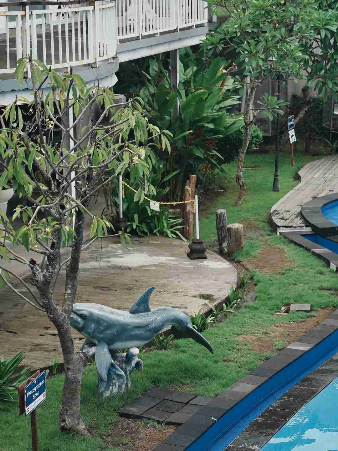 Baliで最もリラクゼーション効果のあるドルフィンパークを発見：絶対に訪れるべき体験