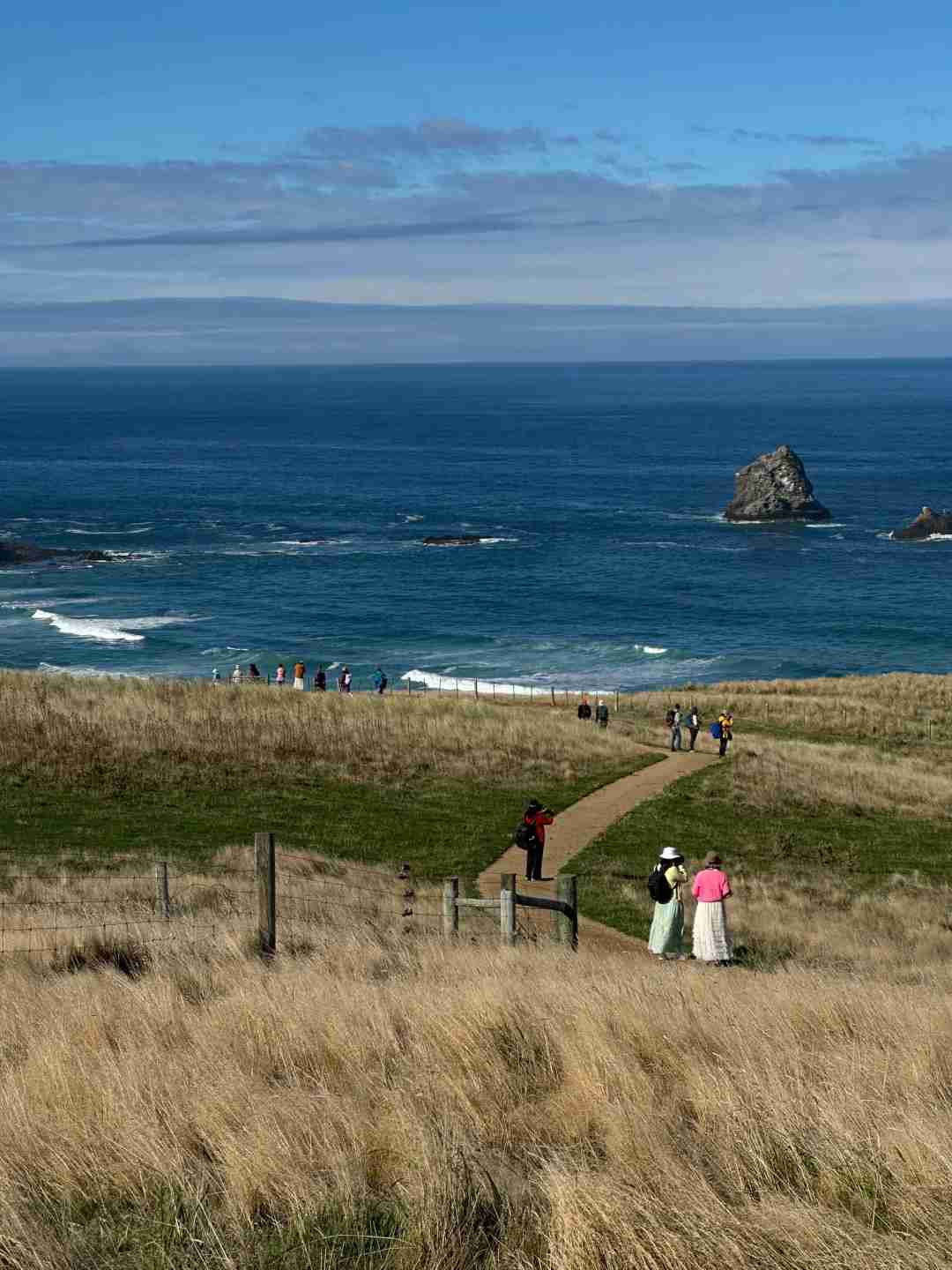 Discover the Most Unmissable Hidden Gem Beach in Dunedin This Summer