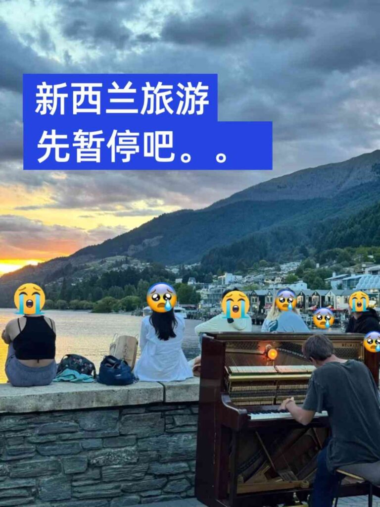 Discover the Real Situation in New Zealand: How You Can Help and Make a Difference 😂