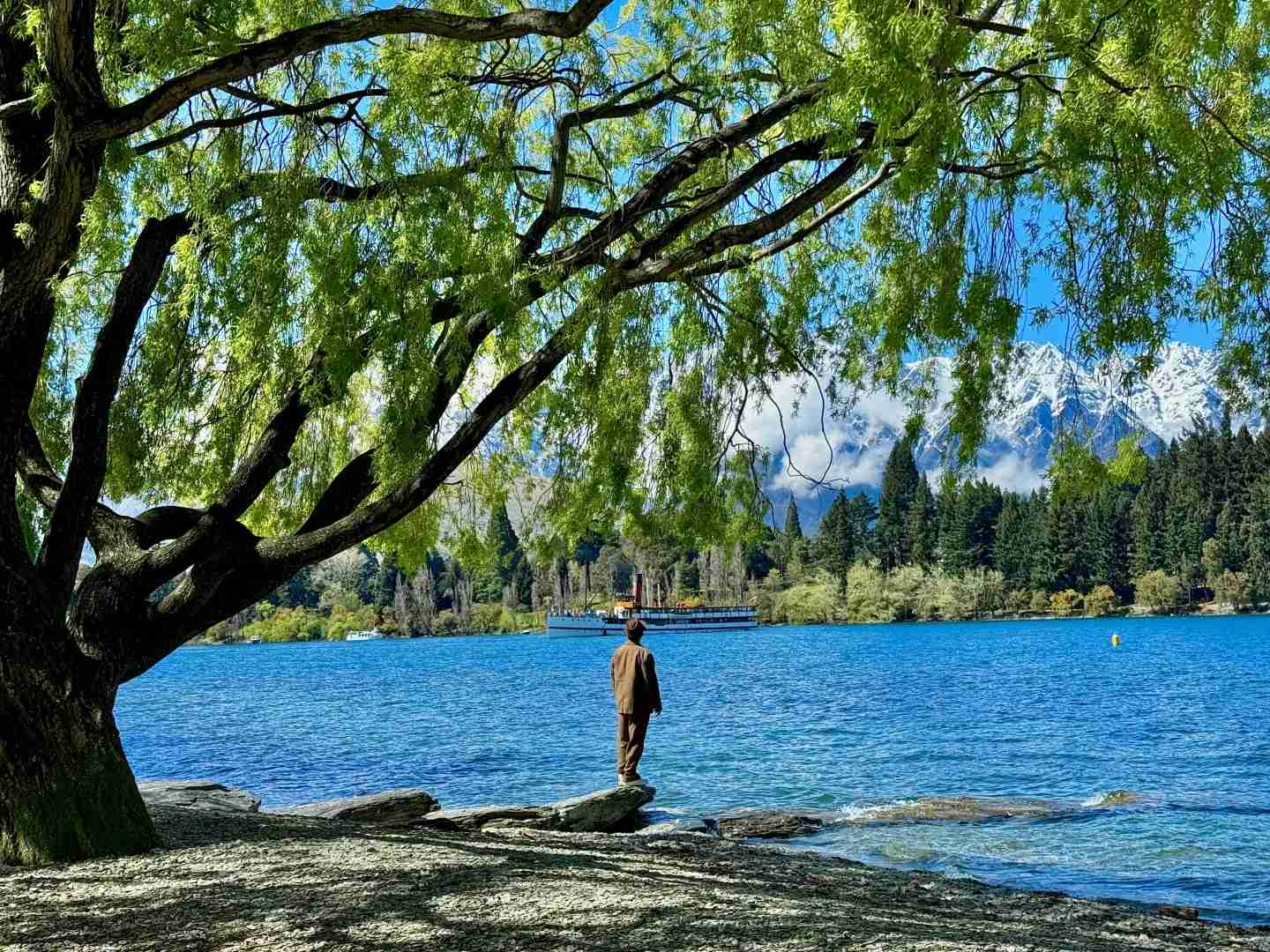 Découvrez le Paradis Sans Serpents : Pourquoi la Nouvelle-Zélande Attire les Amoureux de la Nature 🌳
