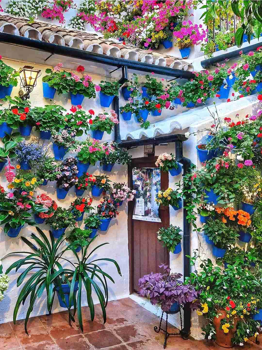 Discover the Stunning Ancient Roman Bridge and Flower Courtyard in Cordoba, Spain 🇪🇸