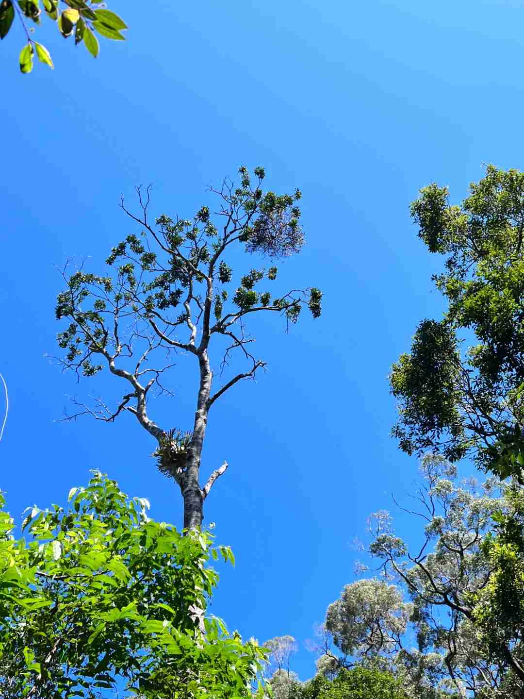 Discover the Stunning Beauty of Cairns in August: A Traveler's Paradise
