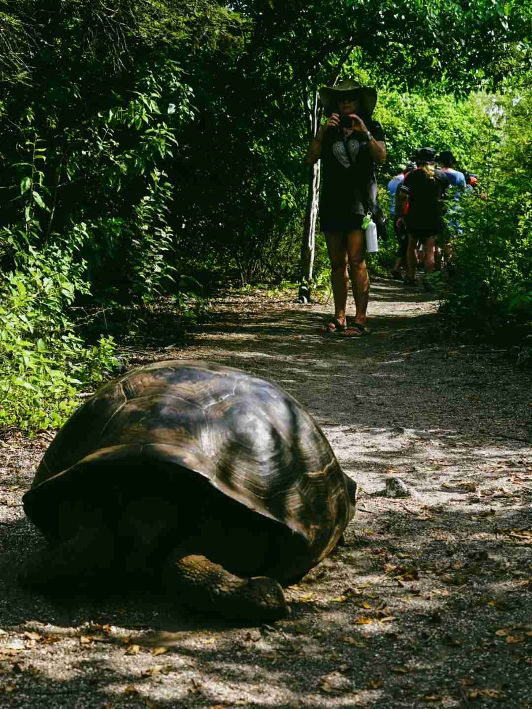 Discover the Top Visa-Free Tiny Country: A Journey Back to the Jurassic Era