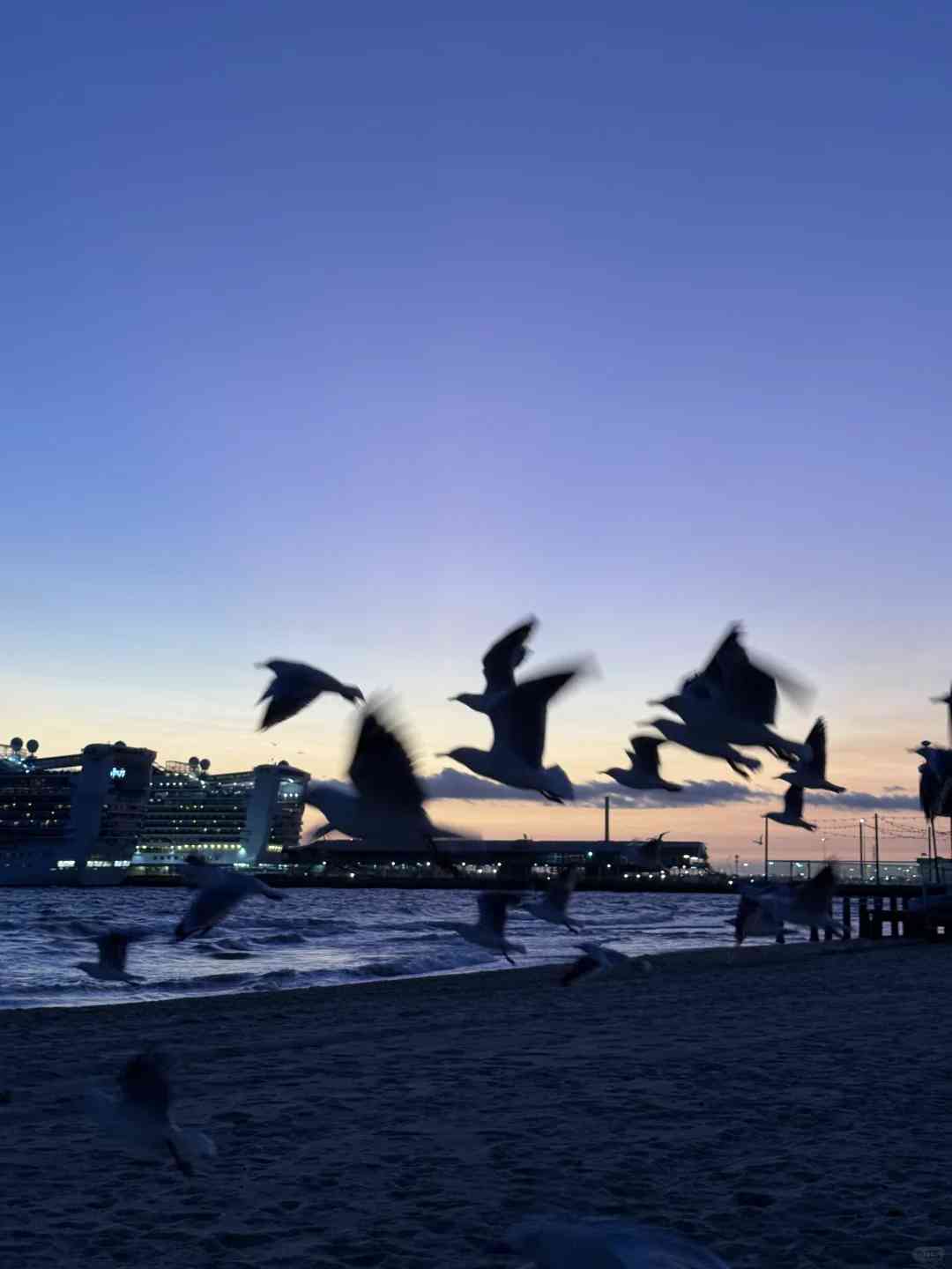 Discover the Unmatched Beauty of Port Melbourne Today: A Scenic Guide