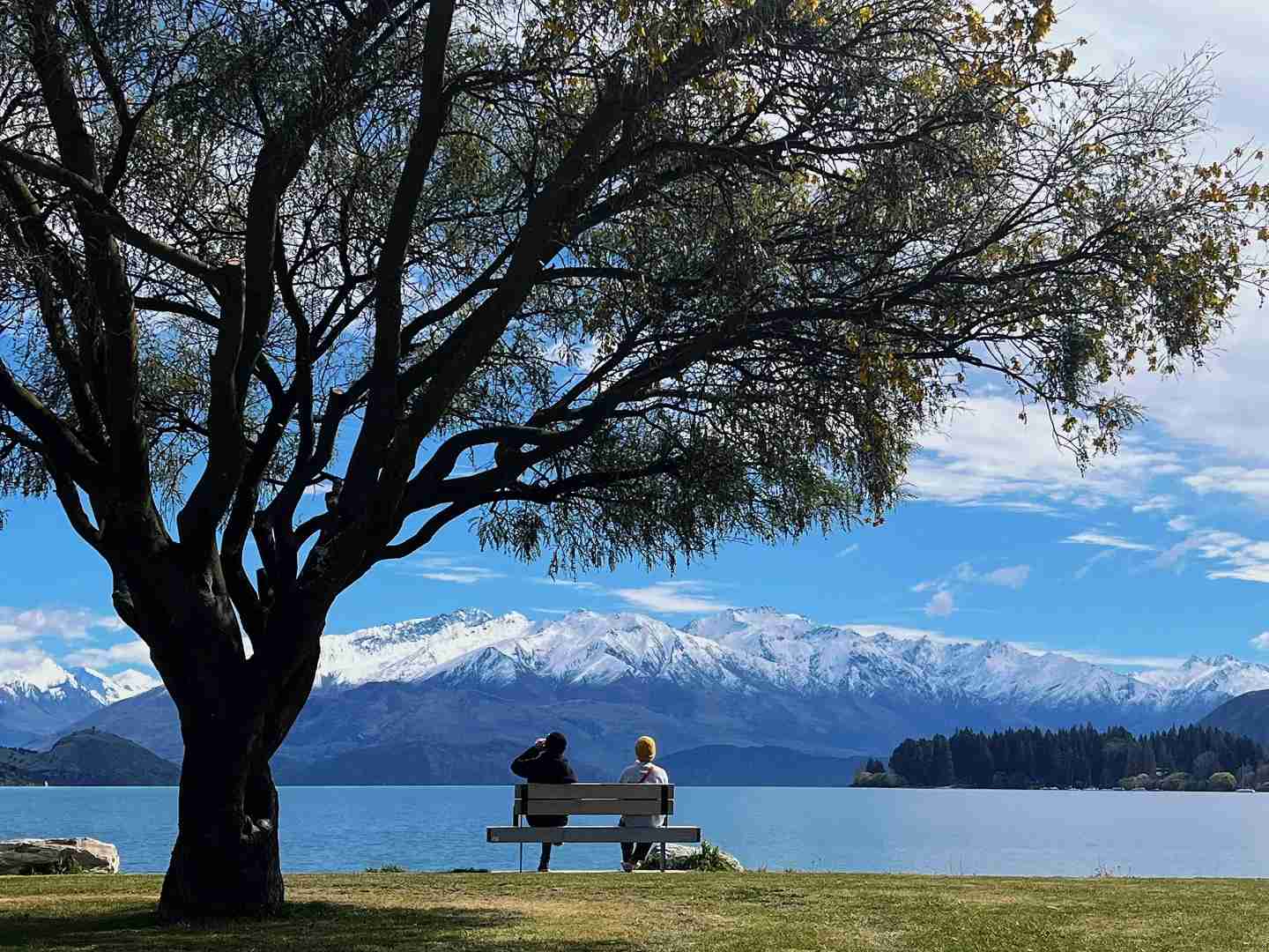 Discover the Unmatched Comfort of Wanaka and Dunedin Travel Destinations