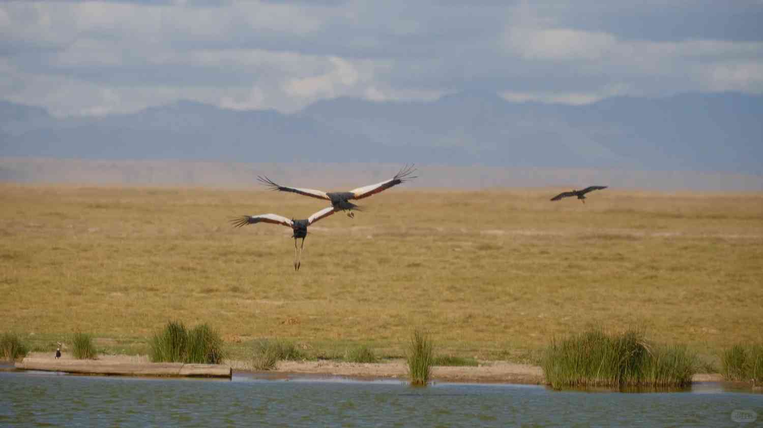 Discover the Wonders of Amboseli National Park in Kenya 🇰🇪: A Safari Adventure Awaits!