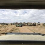 Entdecken Sie die Wunder der Masai Mara: Das ultimative Safari-Abenteuer erwartet Sie