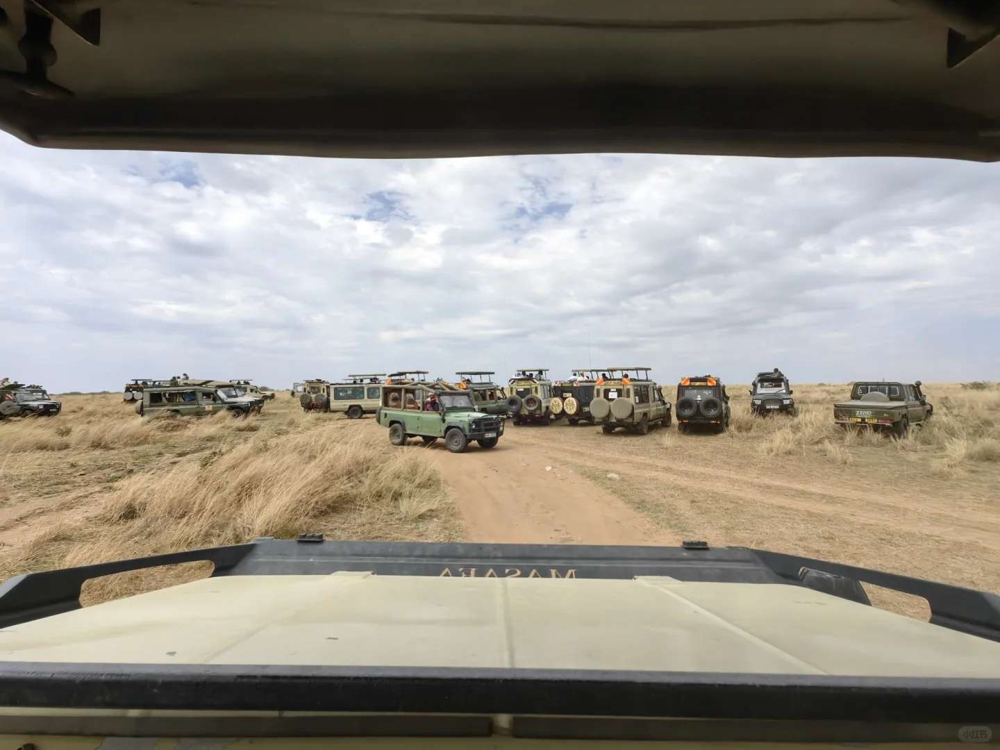 Entdecken Sie die Wunder der Masai Mara: Das ultimative Safari-Abenteuer erwartet Sie