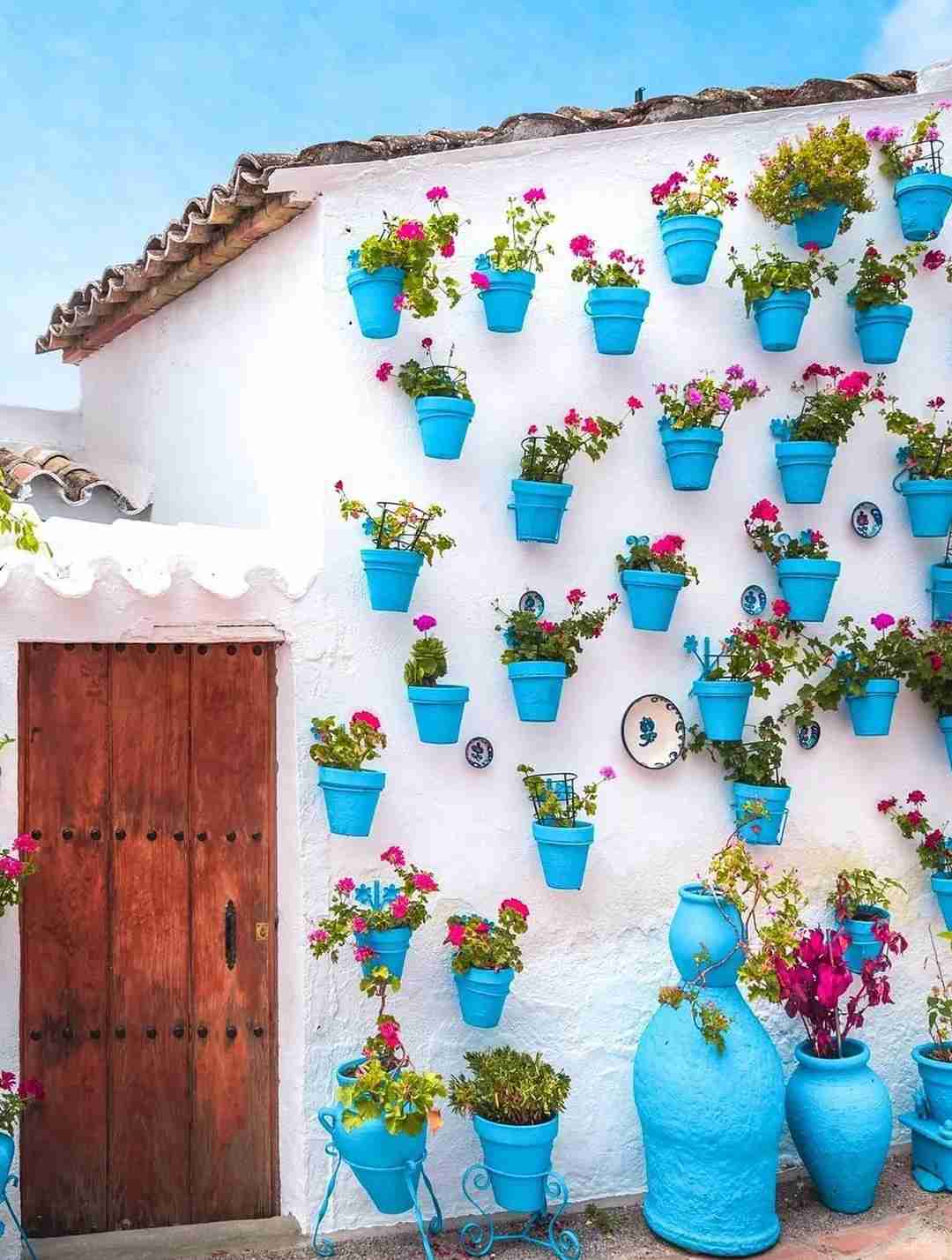 Discovering Cordoba, Spain: A Journey to Admire the Hundred Cherry Blossoms