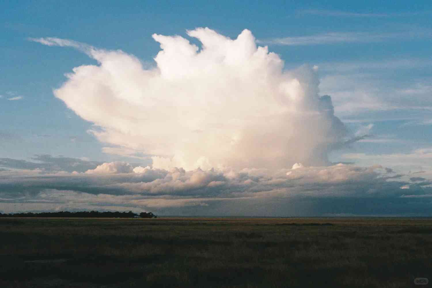 Discovering Kilimanjaro's Lush Green Landscapes in Cinematic Films