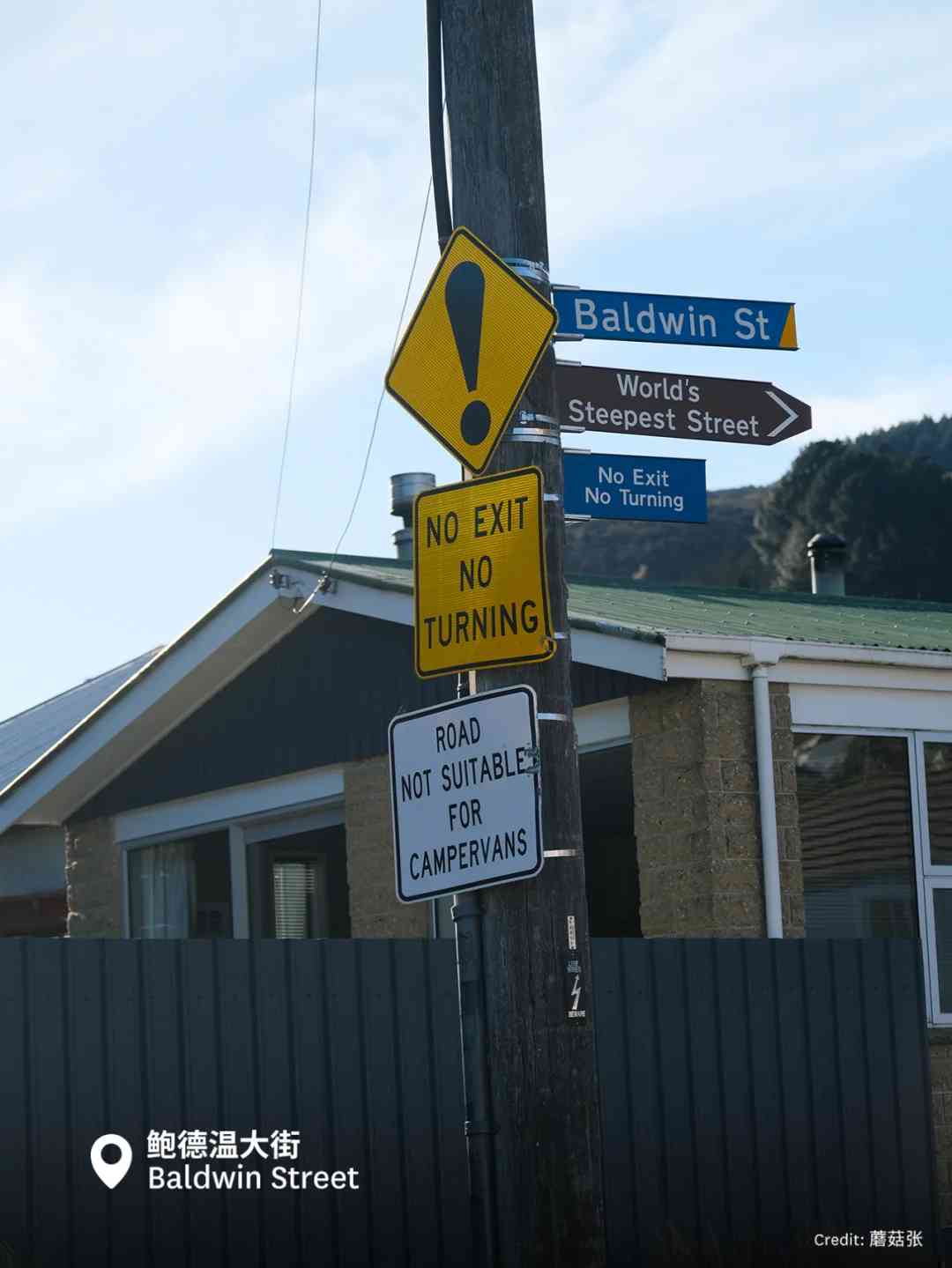 Discovering New Zealand: From Walking to 