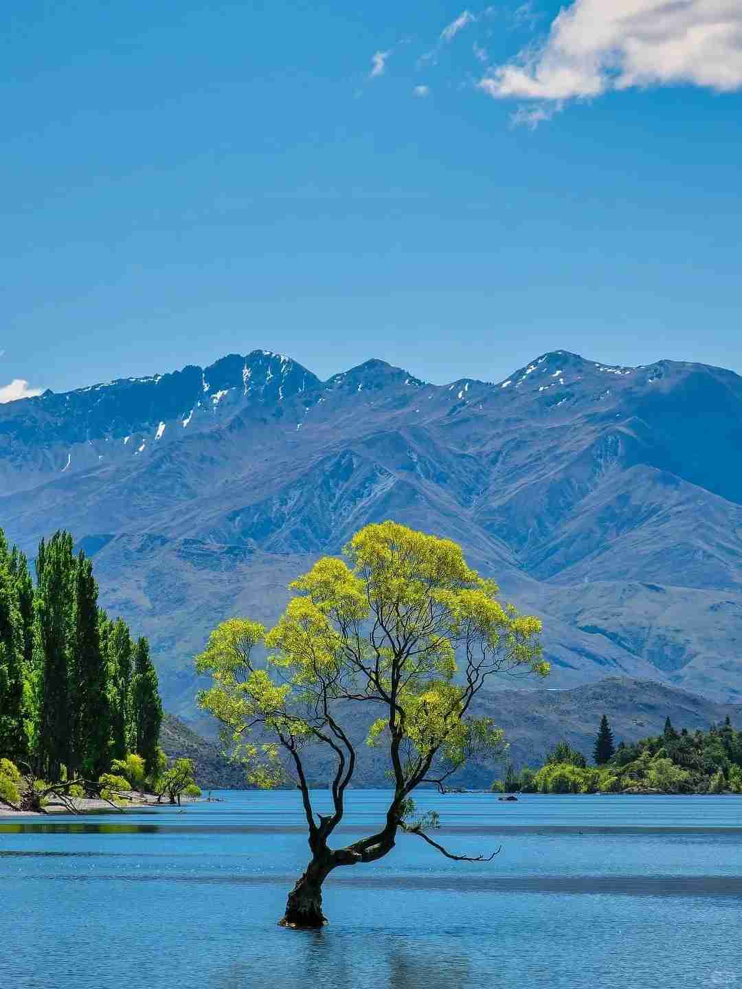 Discovering Wanaka: Even More Stunning Than Queenstown's Beauty