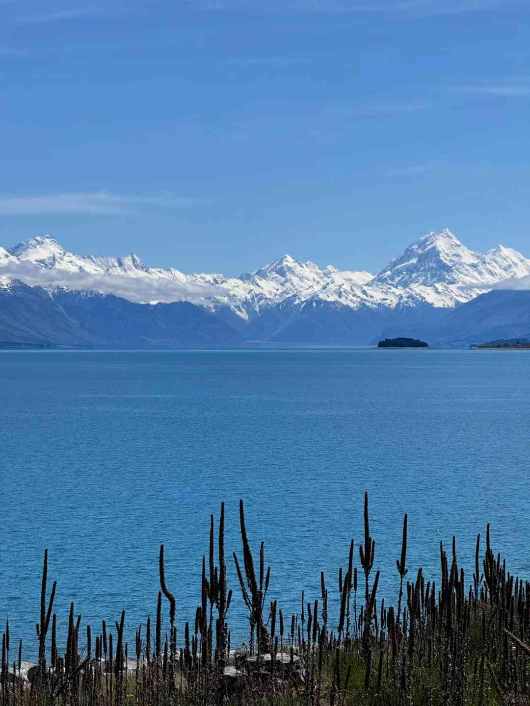 Discovering the Beauty of New Zealand: A Love Story Who Gets It?