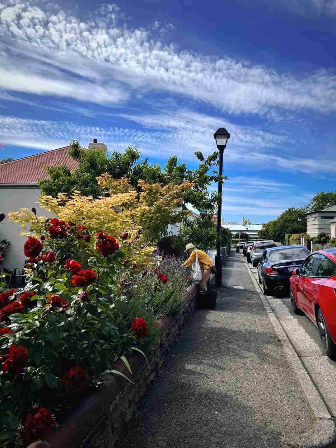 Discovering the Most Photogenic Houses Abroad in Hobart Day 3 🤩