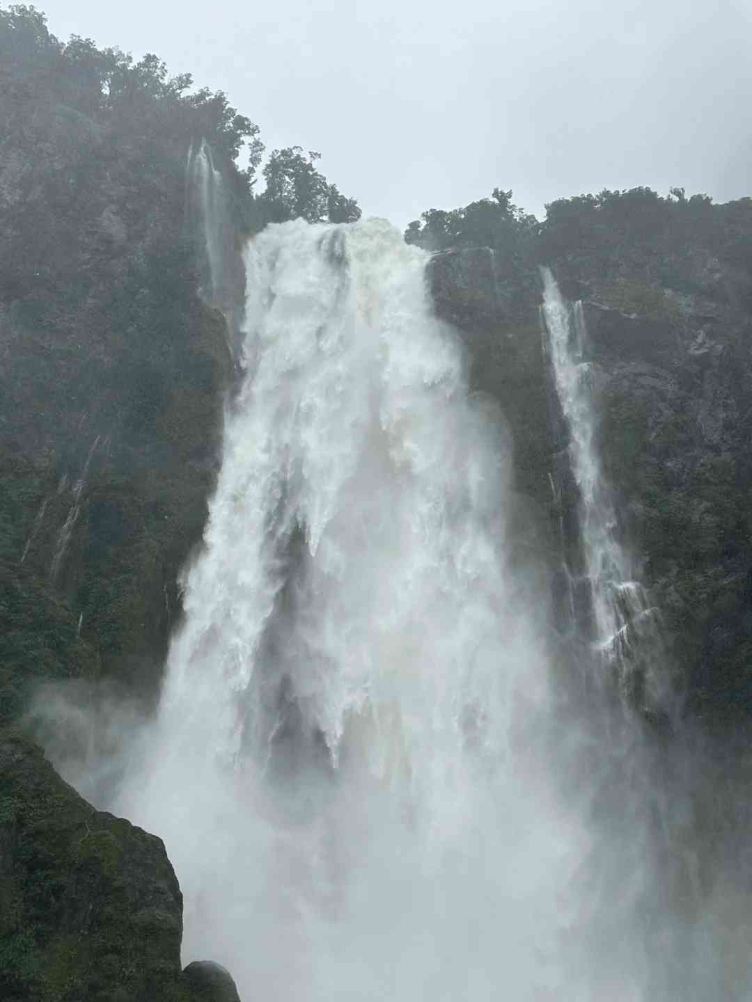 Discovering the Truth: Is Milford Sound Really Not Fun for Tourists?