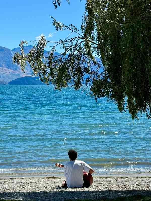Discovering the Truth: My Life in New Zealand Post-Immigration vs. Xiaohongshu Reviews