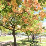 Discovering the Unreal Beauty of Keynes: A Hidden Gem You Must See