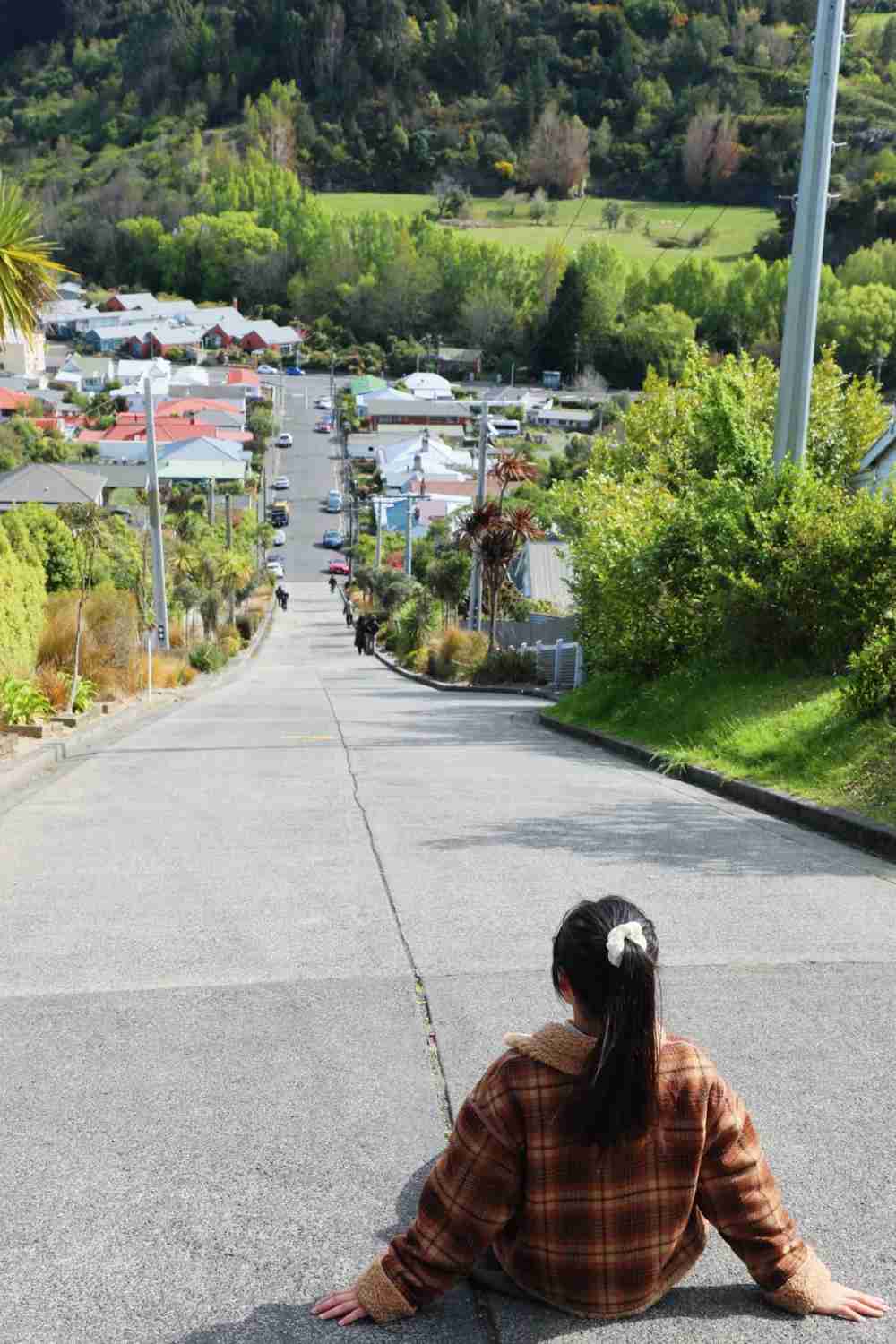 Dunedin One-Day Tour Recommendations: Best Sights and Activities Guide