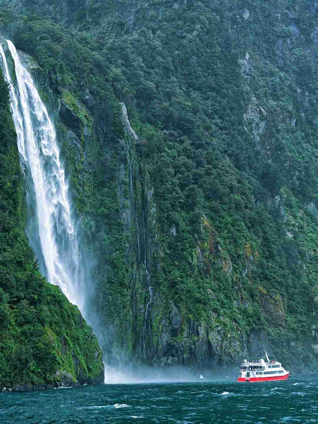 Essential Precautions for Your Milford Sound Tour Experience