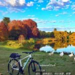 Experience the 4-5 Month Maple Leaf Season in Sydney: A Scenic Autumn Surprise
