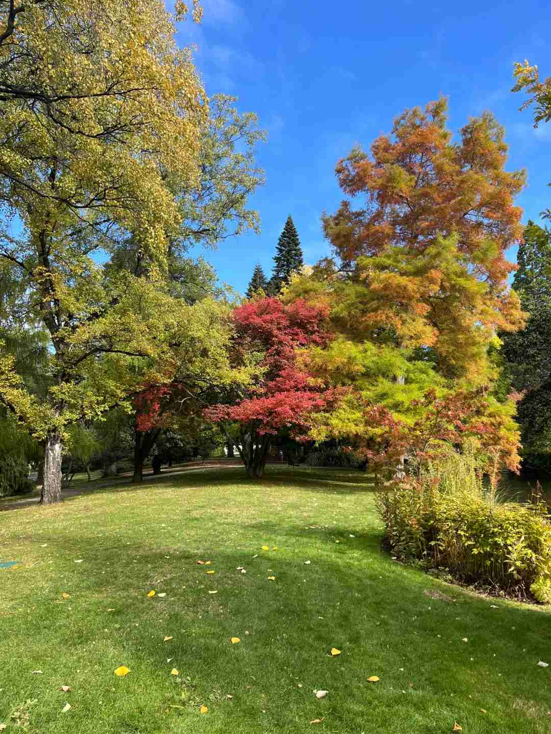 Experience the Full Swing of Autumn in Queenstown: Best Activities and Scenic Views