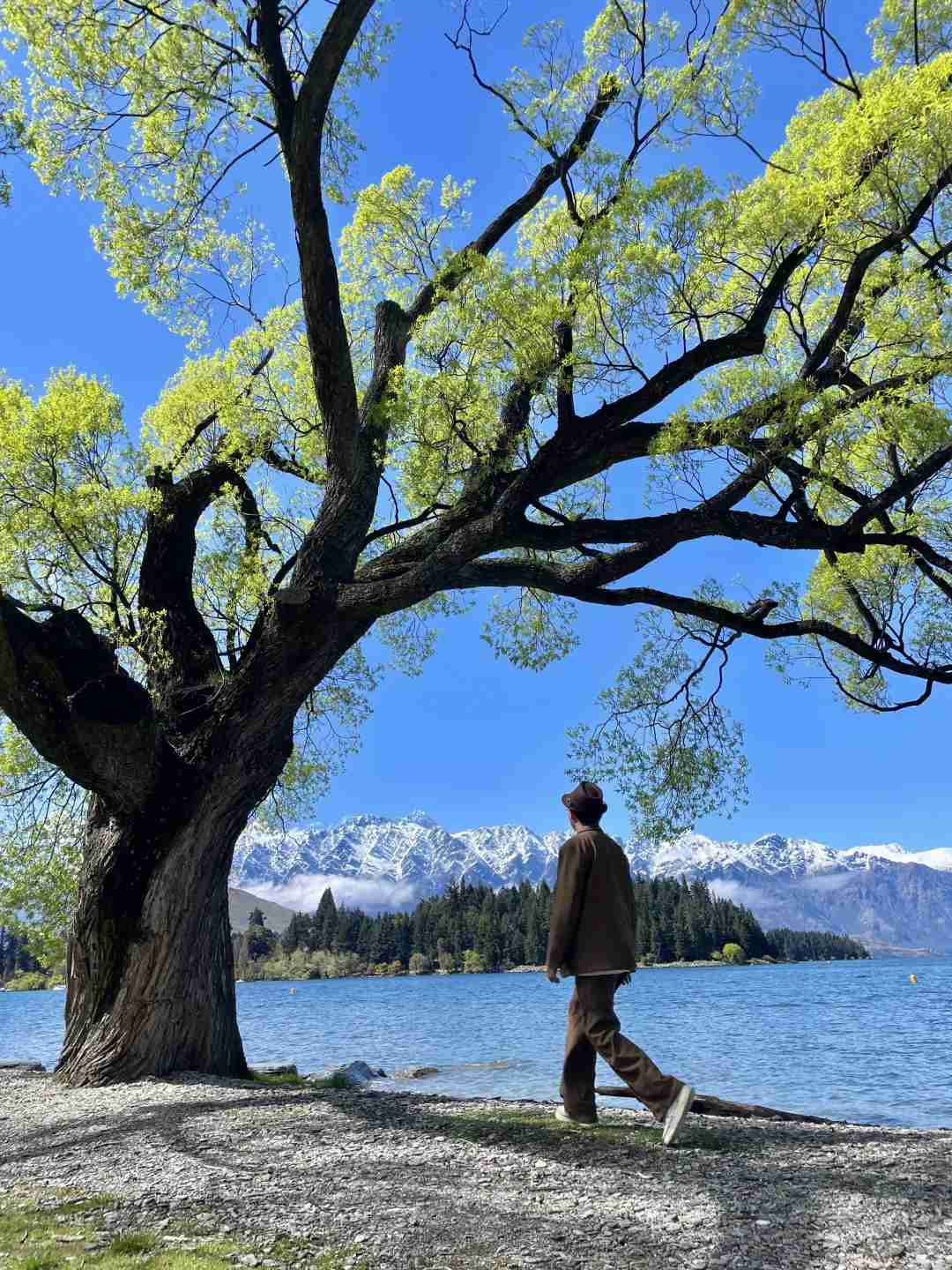 Experience the Natural Beauty: Why New Zealand's Sunshine Needs No Filter Live
