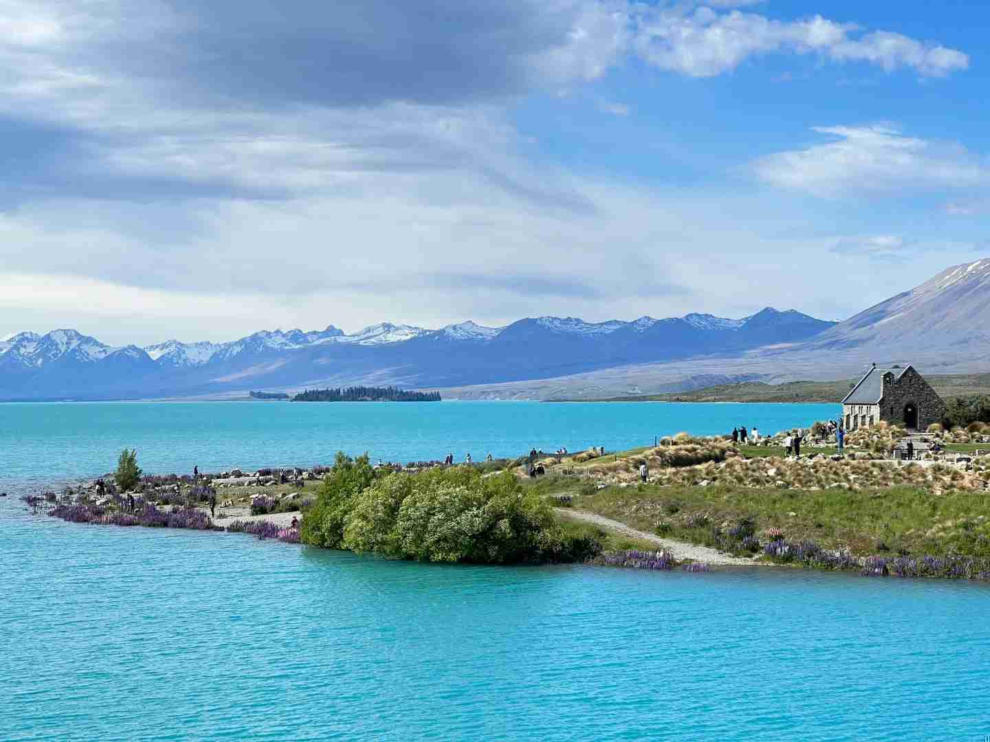 Explore 11 Days of Unforgettable New Zealand Adventures and Memories for Traveler P