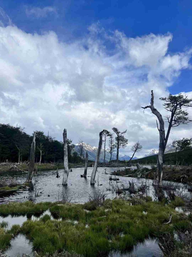 Explore Antarctica & South America: Day 16 Ushuaia Emerald Lake Hiking Adventure