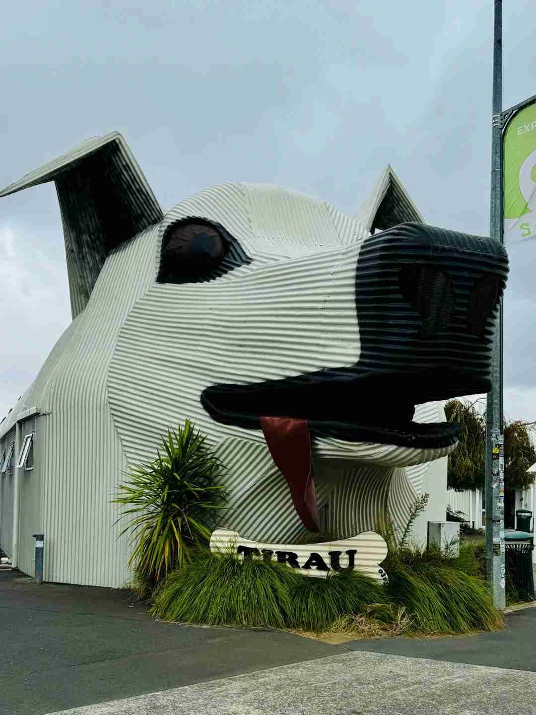 Explore Auckland in a Day: Free Round-Trip Tour for International Students from City Centre