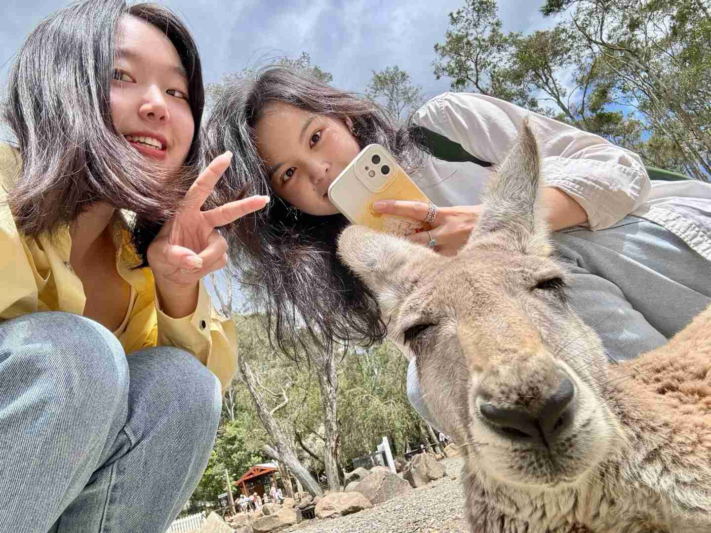 Explore Brisbane, Australia: Top Attractions & Local Experiences 📍🇦🇺
