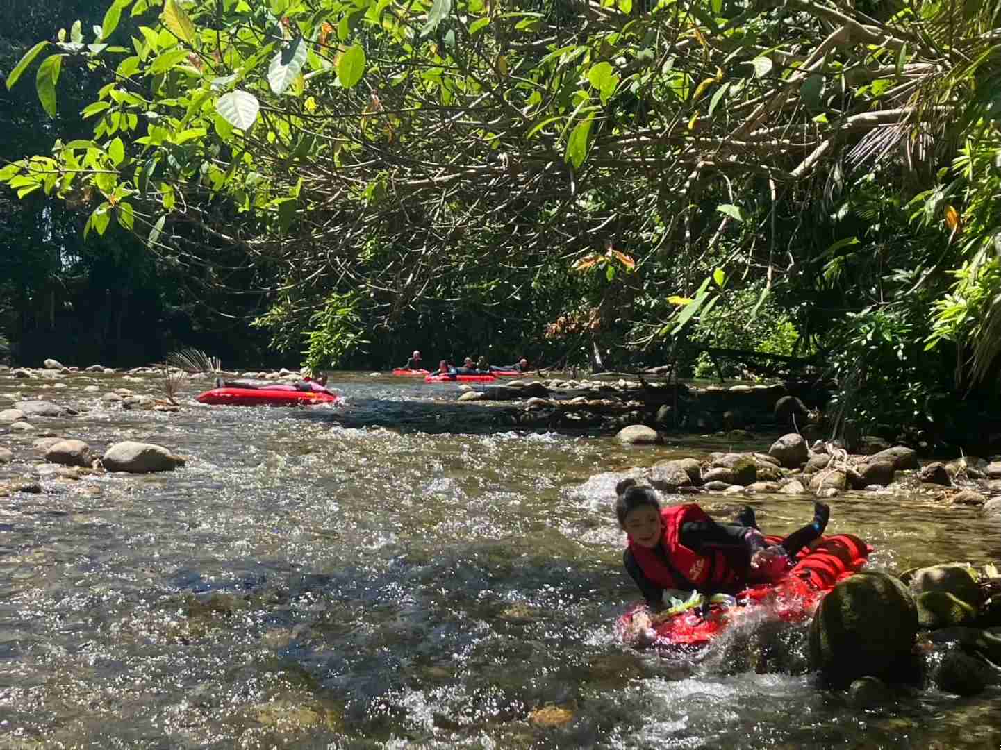 Explore Cairns' Hidden Gems: Beyond Kuranda Rainforest Tours 🌴🇦🇺