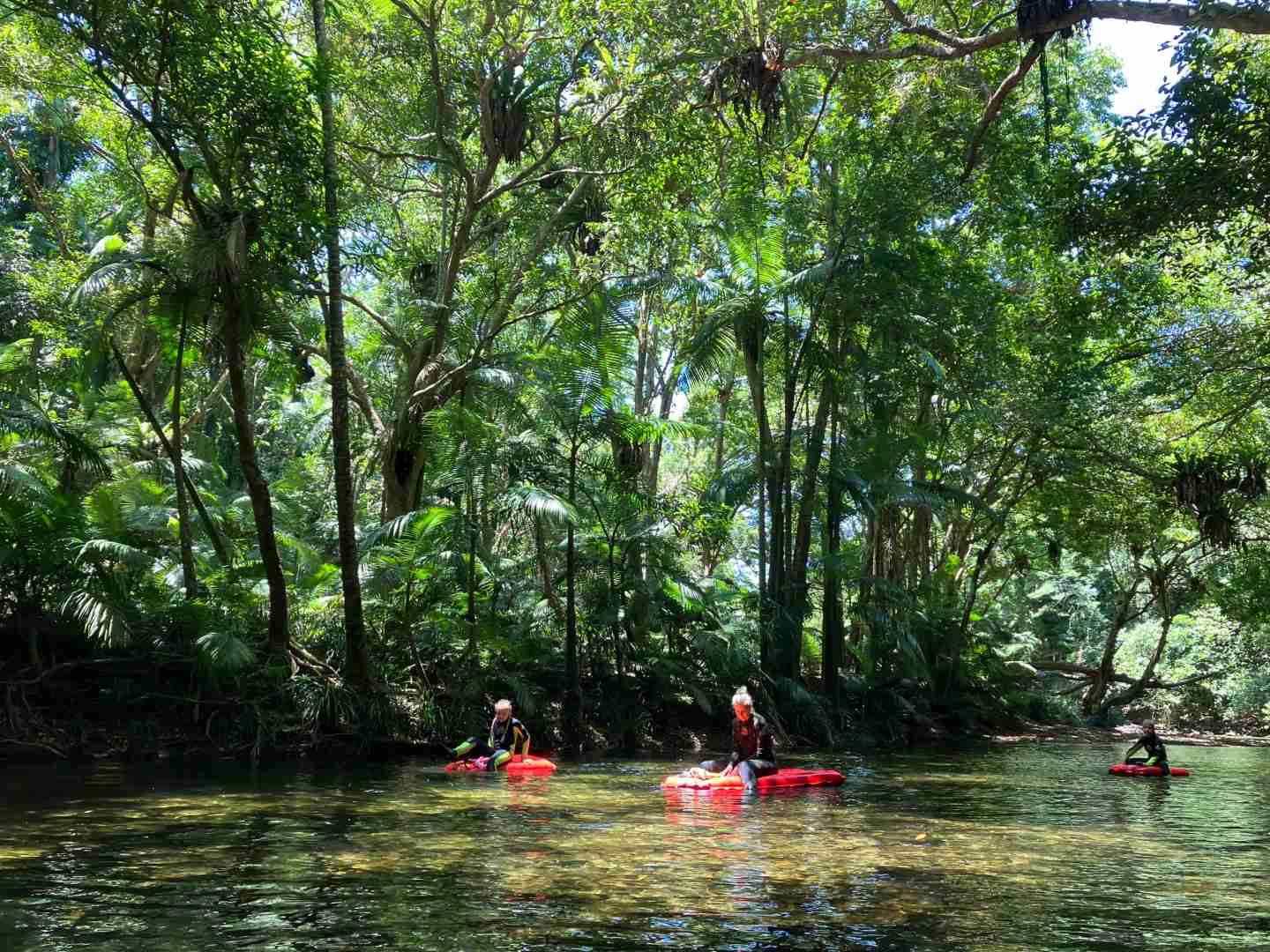 Explore Cairns' Hidden Gems: Beyond Kuranda Rainforest Tours 🌴🇦🇺