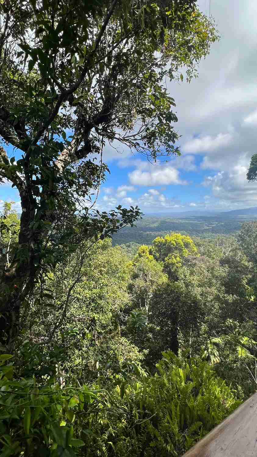 Explore Cairns in 3 Days: Ultimate Free and Easy Travel Itinerary Guide
