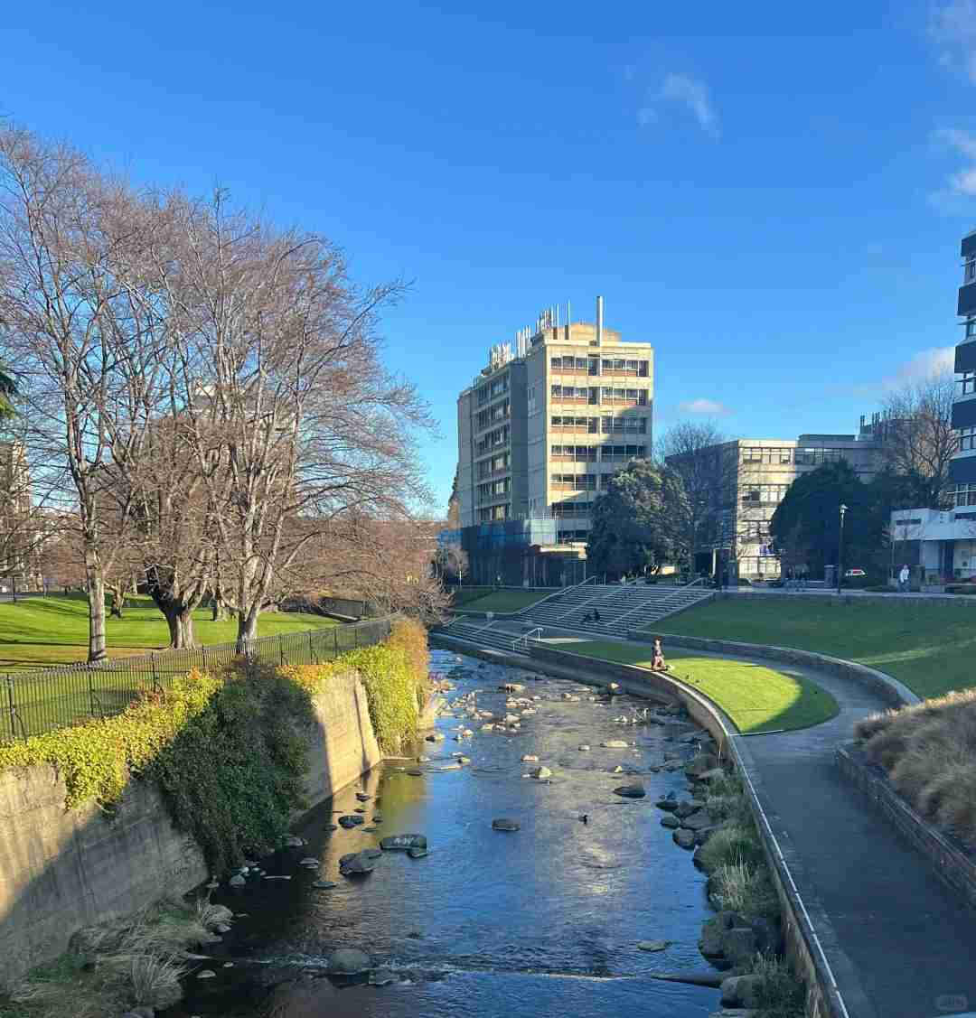 Explorer la ville de Dunedin : Les meilleurs itinéraires de marche et les trésors cachés