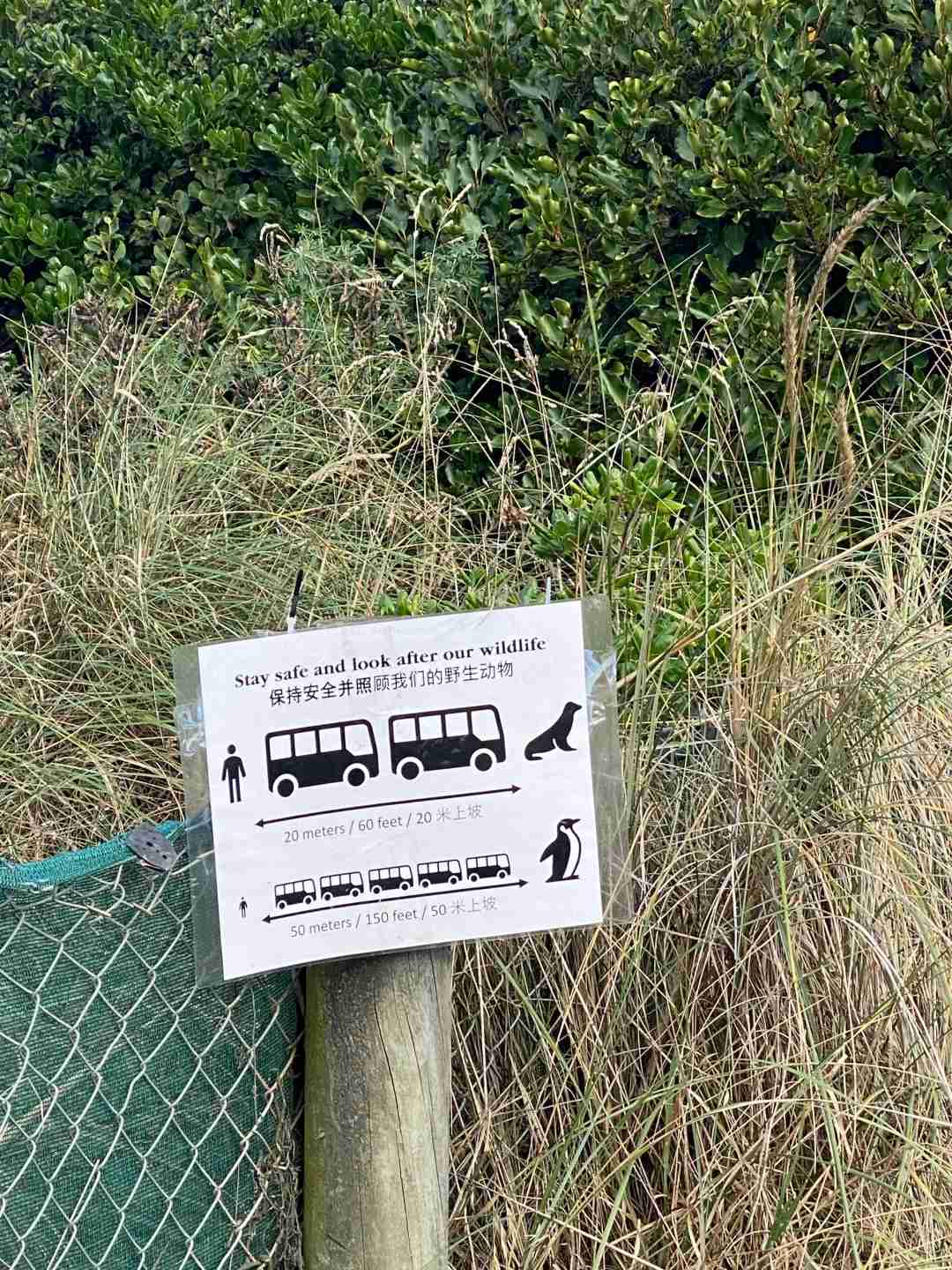 Explore Dunedin: Missed Tunnel Beach but Discovered Stunning Coastal Views