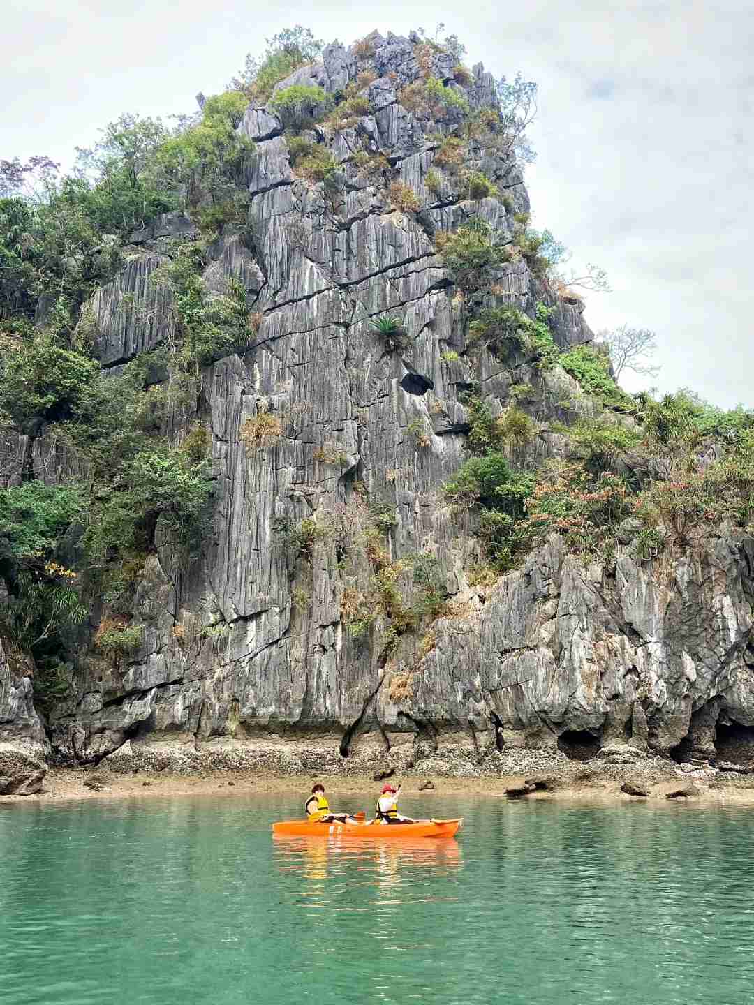 Explore Halong Bay in a Day: Best One-day Tour Packages