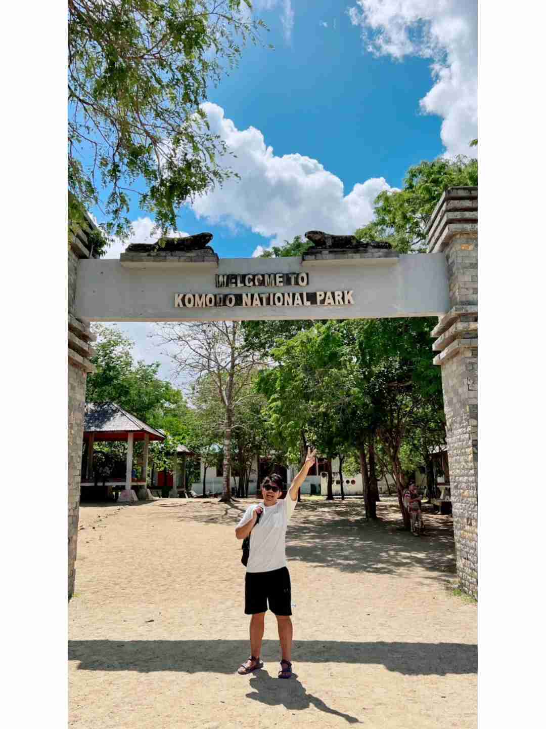 Explore a Ilha de Komodo, Indonésia: Lar dos Lagartos Gigantes e Maravilhas do Patrimônio da UNESCO