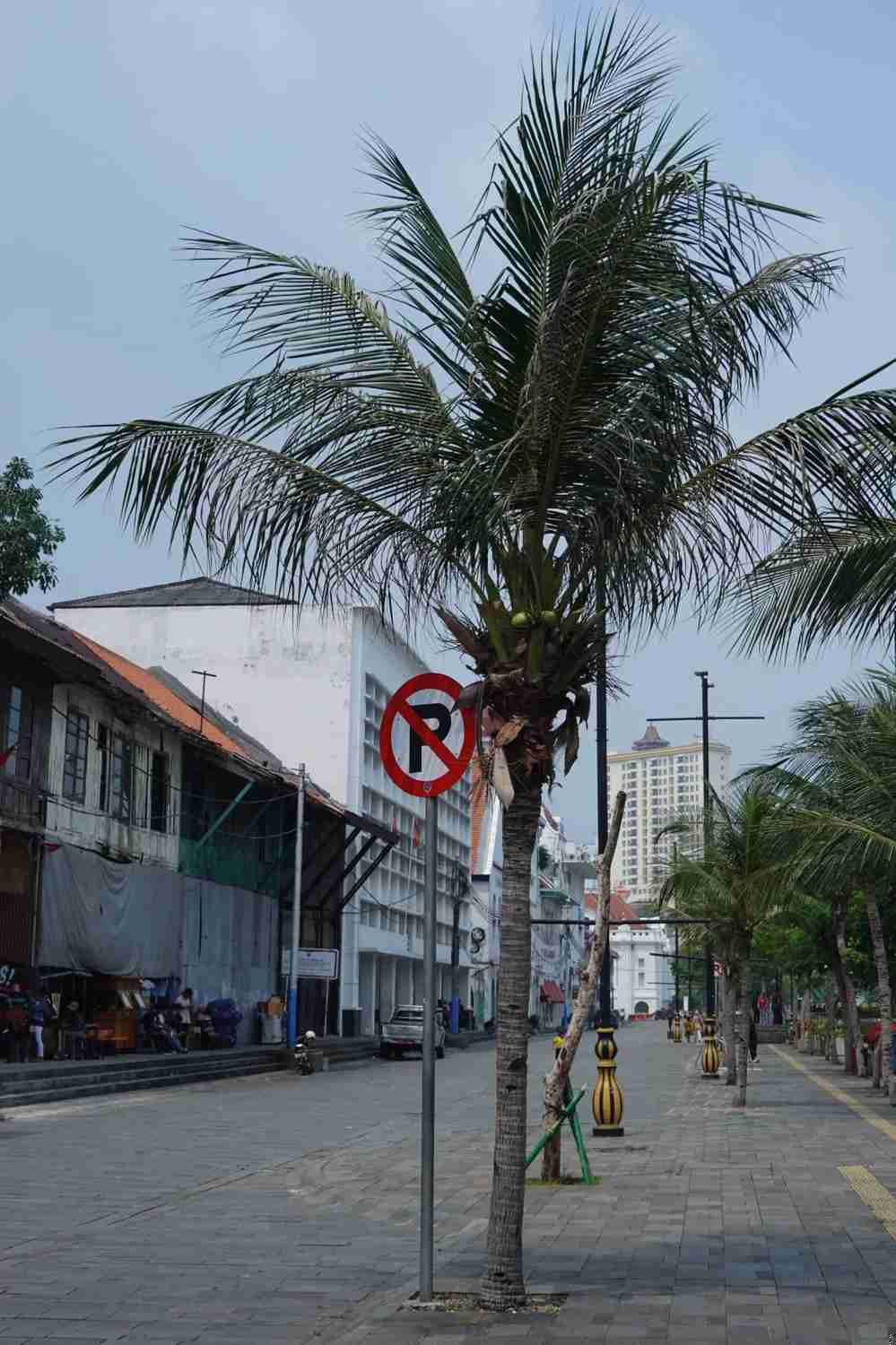 Explore Jakarta Solo: Best Citywalk Routes and Hidden Gems to Discover