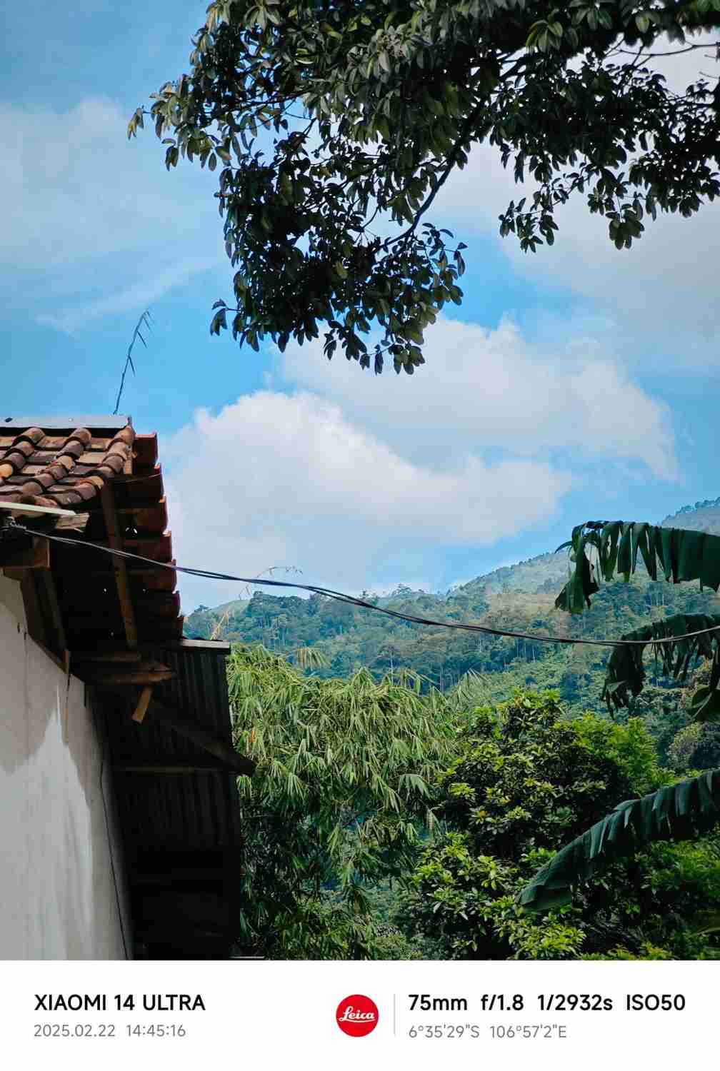 Explorer les sentiers de randonnée de Jakarta à Bogor : meilleurs itinéraires et conseils