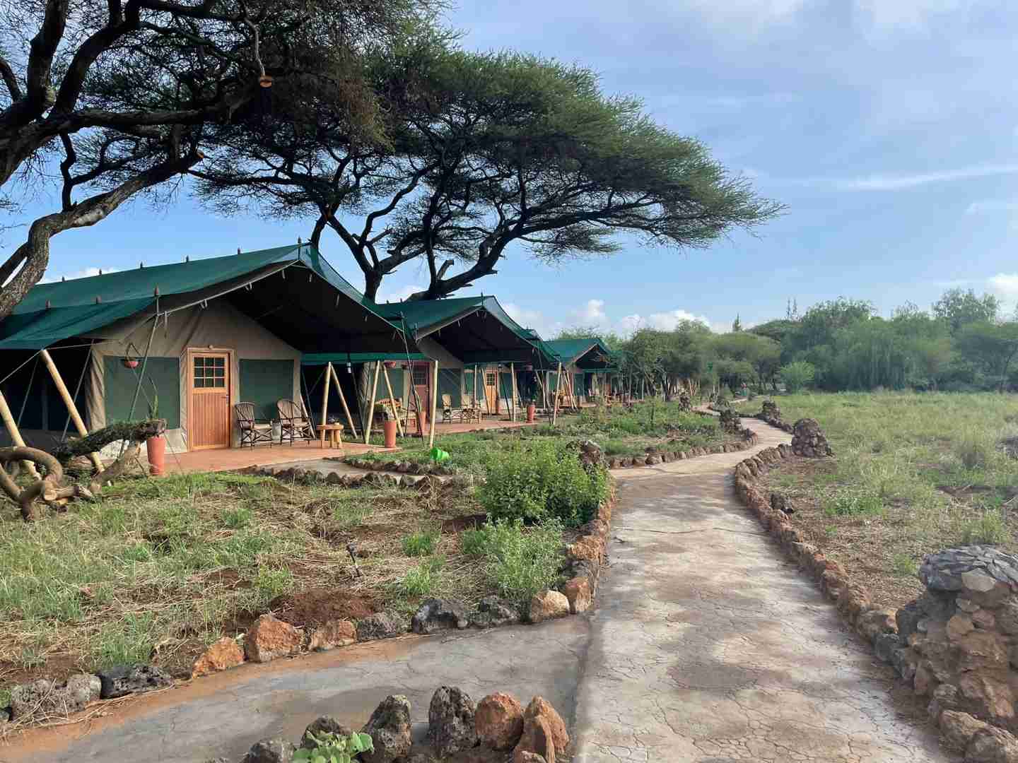 Explore Kenya's Wildlife: Free Travel Guide to Amboseli National Park